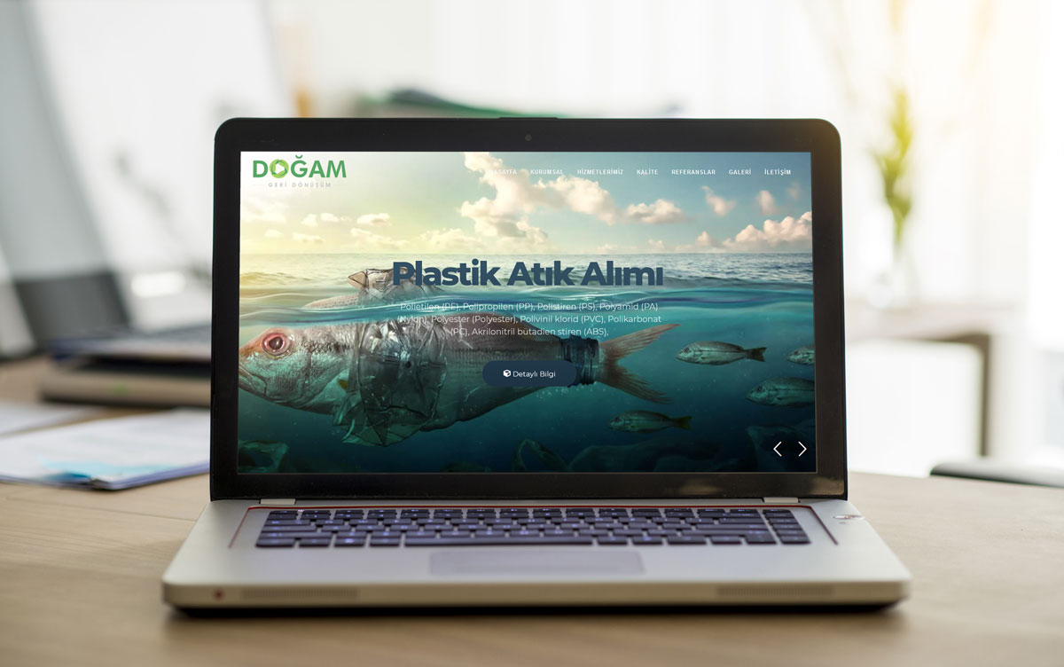 Websitesi Tasarımı