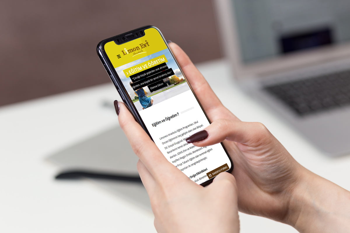 Websitesi Tasarımı