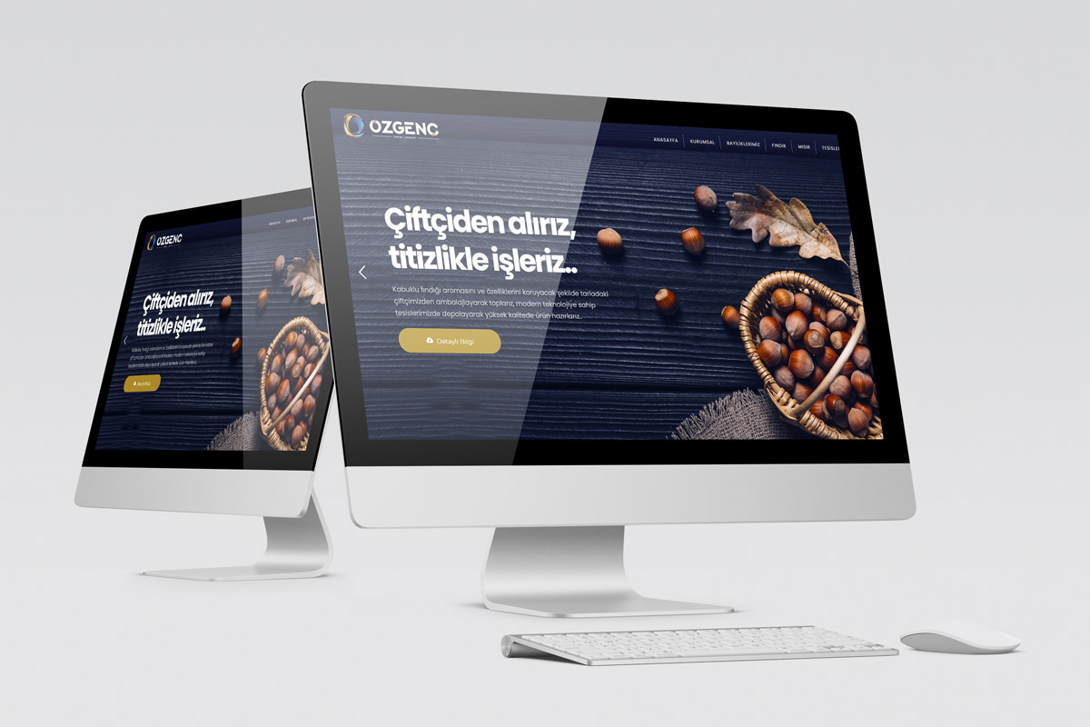 Websitesi Tasarımı